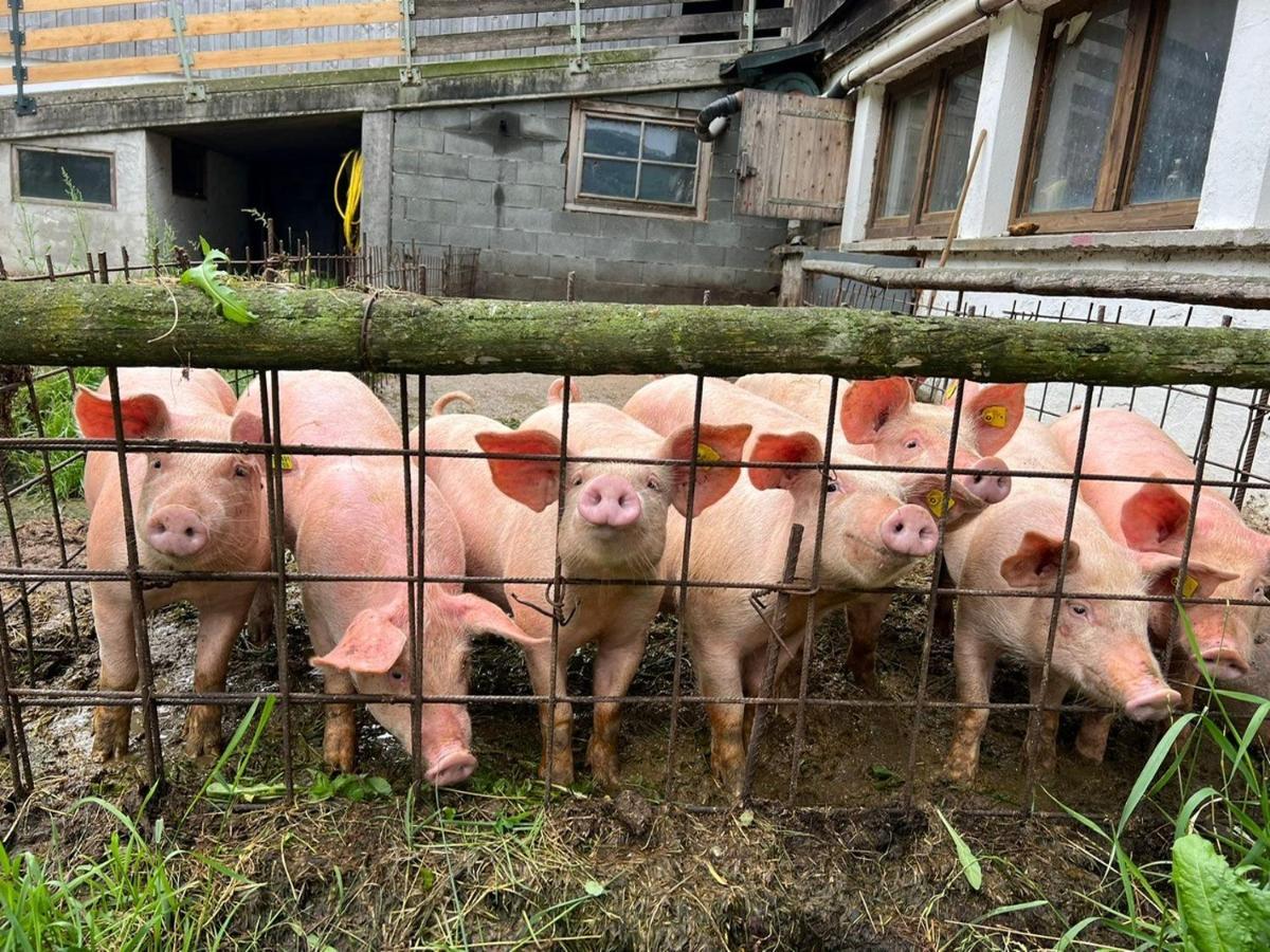 Ferienwohnungen Rahm Mayrhofen Buitenkant foto